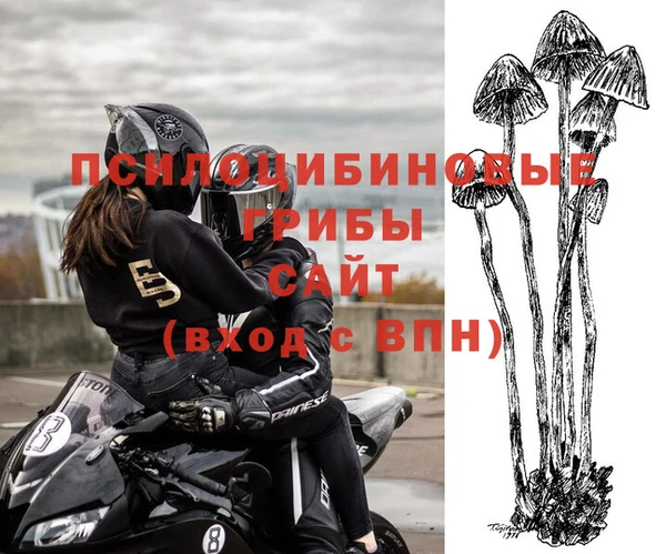 кокаин Алзамай